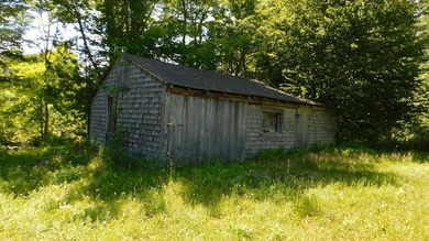 17 +/- acres with 700' +/- shorefront on Boyden's Lake with a - photo 19