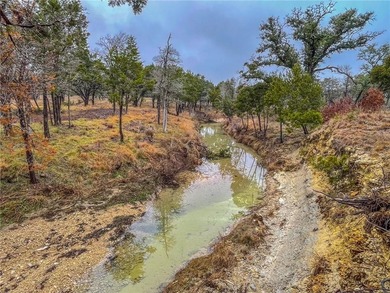 (private lake, pond, creek) Acreage For Sale in Evant Texas