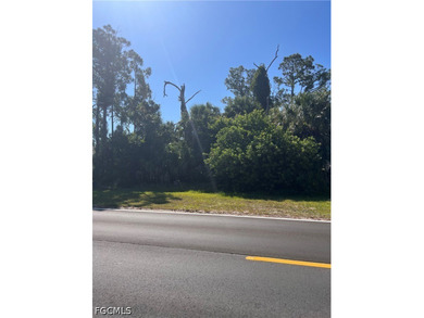 Build your dream home on this prime residential lot in the - photo 3
