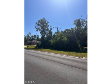 Build your dream home on this prime residential lot in the - photo 4