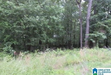 Lake Lot For Sale in Mccalla, Alabama