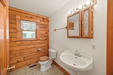 Peace and quiet and beauty surround this Honest Abe log home - photo 17