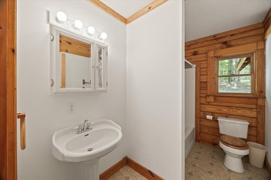 Peace and quiet and beauty surround this Honest Abe log home - photo 20