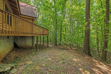 Peace and quiet and beauty surround this Honest Abe log home - photo 23