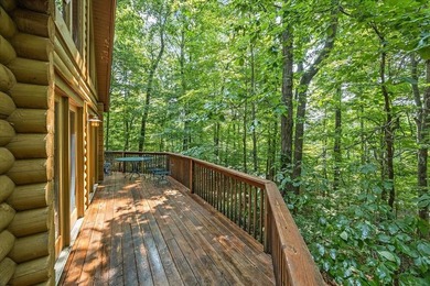 Peace and quiet and beauty surround this Honest Abe log home - photo 24