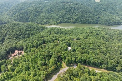 Peace and quiet and beauty surround this Honest Abe log home - photo 27