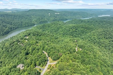 Peace and quiet and beauty surround this Honest Abe log home - photo 30