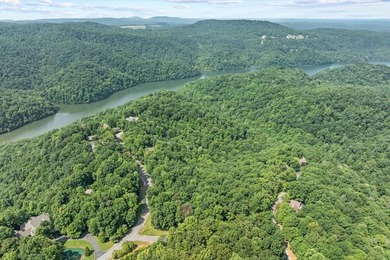Peace and quiet and beauty surround this Honest Abe log home - photo 31