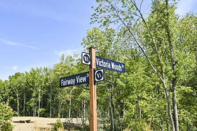 Welcome to Victoria Woods-Indiana's newest town and ultimate - photo 6
