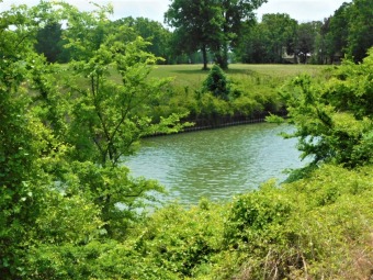 Great canal lot with 95 linear feet of platted water frontage!  S - Lake Lot SOLD! in Corsicana, Texas