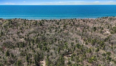 Peace, quiet and Lake Michigan! Northside of Pentwater in the - photo 3