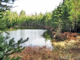 Aleck Lake Lot For Sale in Munising Michigan