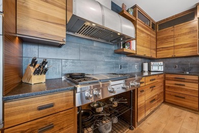 Penthouse #1001 at one of downtown Madison's most sought-after - photo 10