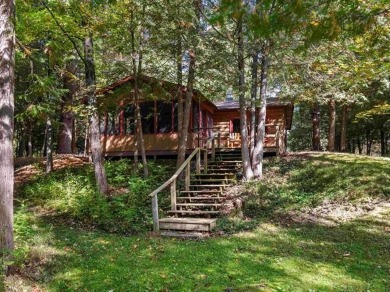 Lake Home For Sale in Springdale Twp, Michigan