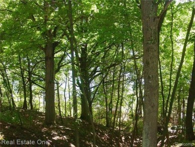  Lot For Sale in Highland Michigan
