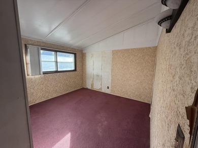 This property is step from the lake and would be great for a - photo 15