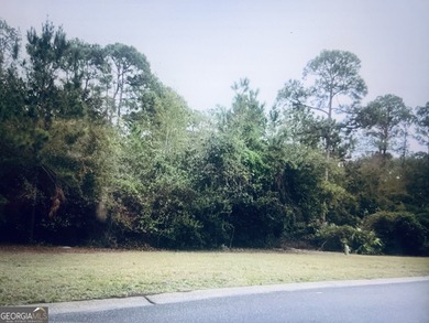 Don't miss this opportunity to own a spacious corner lot (.61 - photo 1