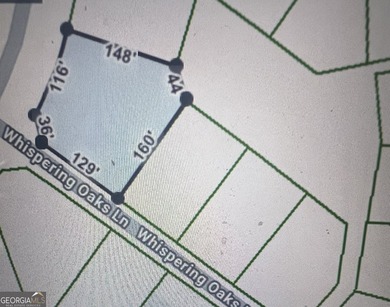 Don't miss this opportunity to own a spacious corner lot (.61 - photo 3