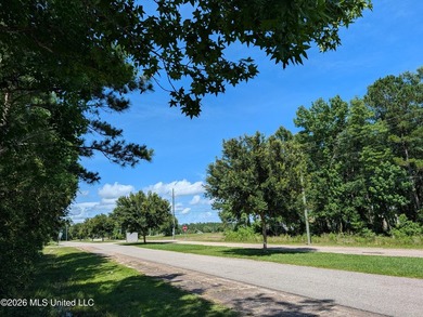 Calling all Aviators - This wonderful corner lot offers 112+/- - photo 11