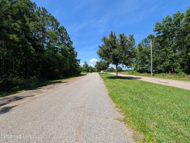 Calling all Aviators - This wonderful corner lot offers 112+/- - photo 13