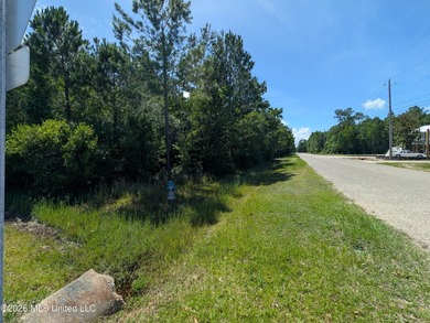 Calling all Aviators - This wonderful corner lot offers 112+/- - photo 15