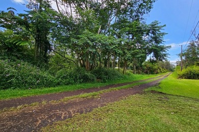 Discover the opportunity to own a piece of paradise on Priscilla - photo 3