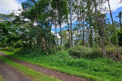 Discover the opportunity to own a piece of paradise on Priscilla - photo 5