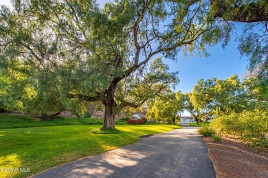 641 W La Loma Ave presents an extraordinarily rare opportunity - photo 26