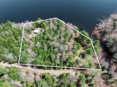 Lake Home For Sale in Mariaville, Maine