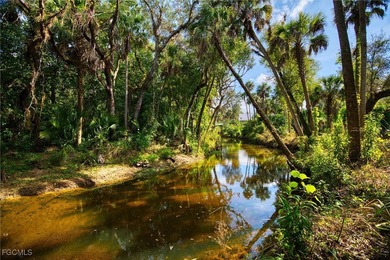 Lehigh Acres Area Acreage For Sale in Fort Myers Florida