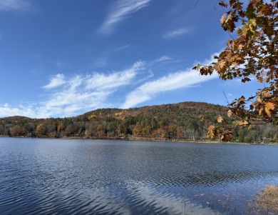 TimberRidge New construction, 236' shore,3 acre gorgeous site - photo 11