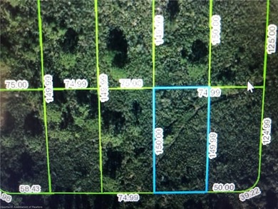 This charming high-and-dry lot on Lark Street is the perfect - photo 4