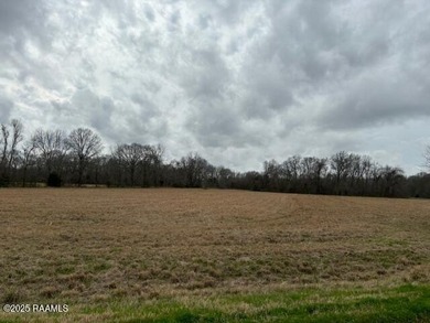 (private lake, pond, coastal) Acreage For Sale in Washington Louisiana