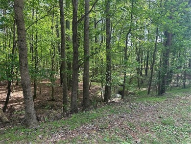 Build your dream home in The Fairways, a highly sought-after - photo 12