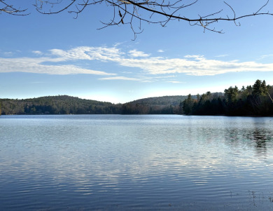 TimberRidge New construction, 236' shore,3 acre gorgeous site - photo 9