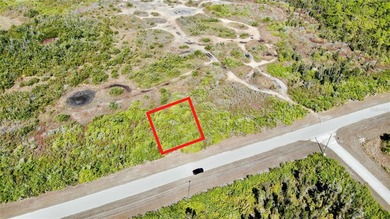 Rotunda Meadows Lakes  Lot For Sale in Placida Florida