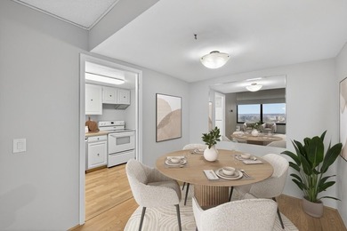 Take in sweeping 9th-floor views and a comfortable, easy-living - photo 8