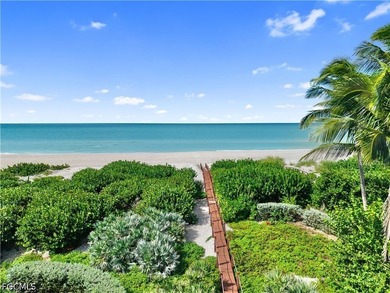 Fantastic Private Beachfront Sanctuary located on the Gold Coast - photo 9