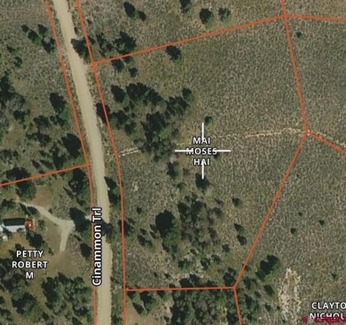(private lake, pond, creek) Lot For Sale in Powderhorn Colorado