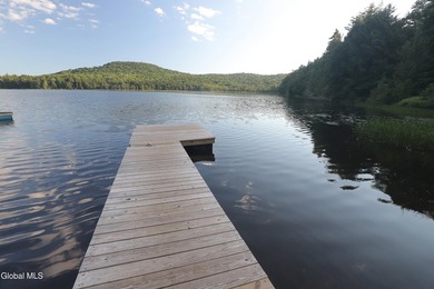 Are you looking for an affordable cabin in the Adirondack Park - photo 3