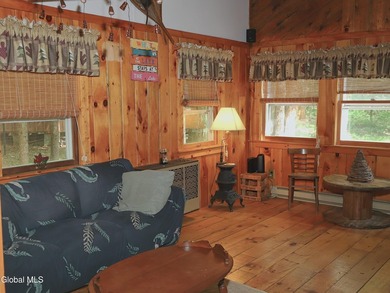 Are you looking for an affordable cabin in the Adirondack Park - photo 10