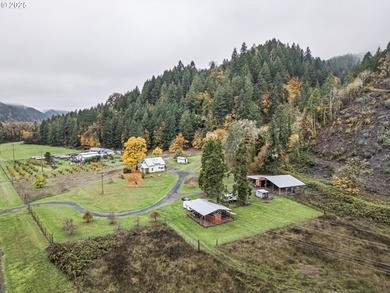North Umpqua River Home For Sale in Elkton Oregon