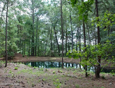 (private lake, pond, coastal) Lot For Sale in Ocean Isle Beach North Carolina