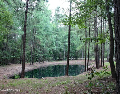 (private lake, pond, coastal) Lot For Sale in Ocean Isle Beach North Carolina
