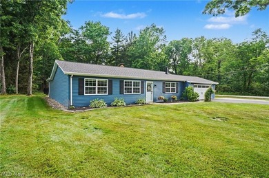 Stylish, ranch home on 1 acre lot in Aurora. This 3-bedroom 2 - photo 39
