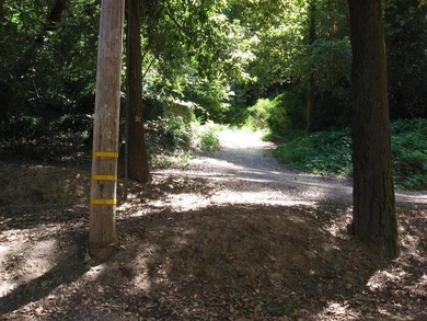 You can drive onto this one and the County will probably allow a - photo 4