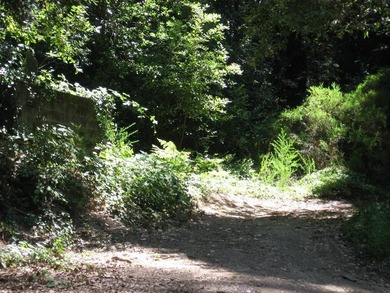 You can drive onto this one and the County will probably allow a - photo 5