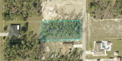 Lehigh Acres Area Lot For Sale in Lehigh Acres Florida