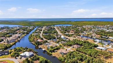 Build your Florida dream home on this standard-sized WATERFRONT - photo 2