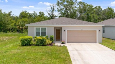 Lake Swatara Home For Sale in Eustis Florida